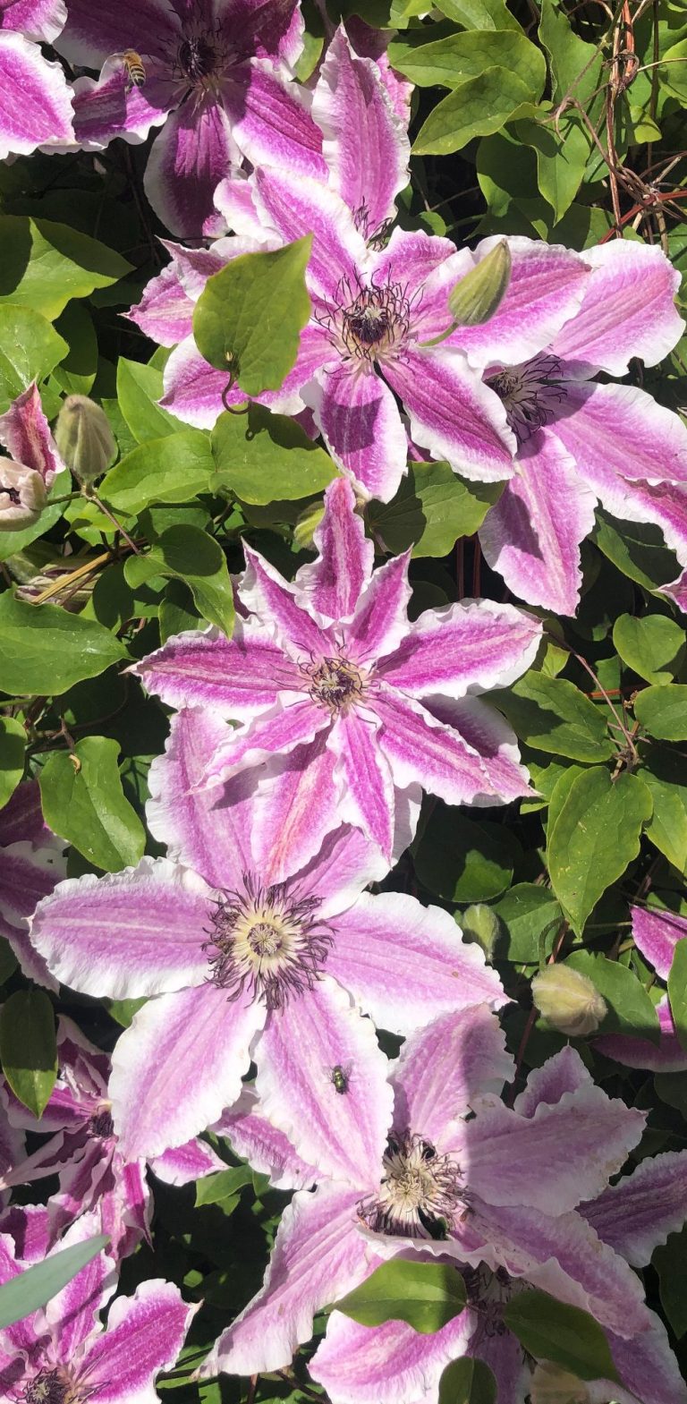 time to bloom beat anxiety and step into self belief
